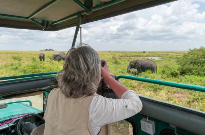10 Days Lemosho Trek And Serengeti Ngorongoro safari