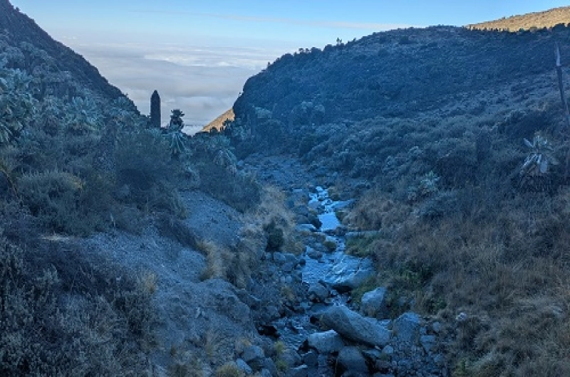 10 Days Machame Route And Serengeti Ngorongoro Safari