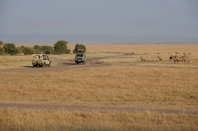 3 Days Tanzania Safari Price – Affordable Wildlife Trip