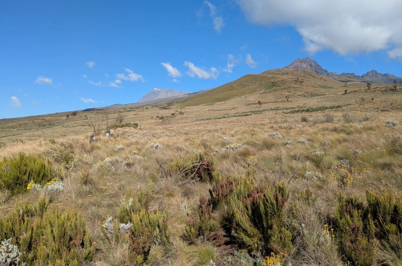 5 Days Marangu Route Kilimanjaro Climb in January 2027/2028