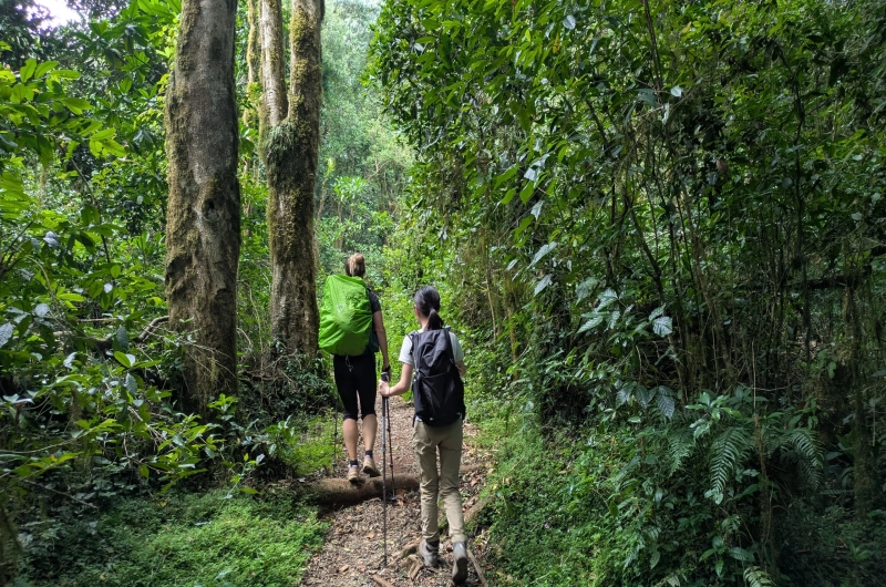 5 Days Marangu Route Kilimanjaro Climbing in October