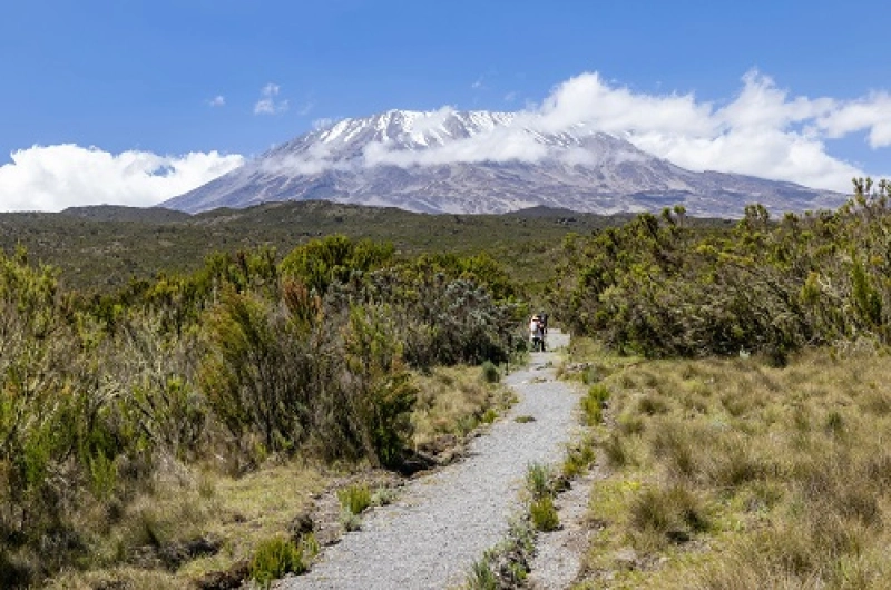6 days Lemosho Route Affordable Kilimanjaro Climbing Tour