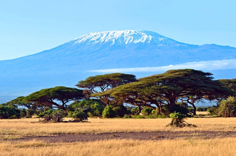 6 Days Marangu Route Budget Kilimanjaro Climbing Tour