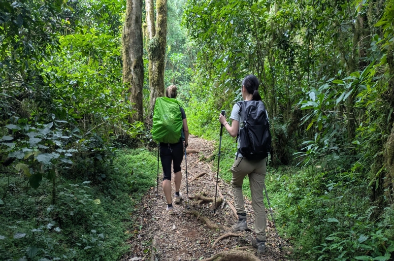 6 Days Marangu Route Kilimanjaro Climbing in April