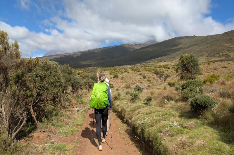 6 Days Marangu Route Kilimanjaro Climbing in December