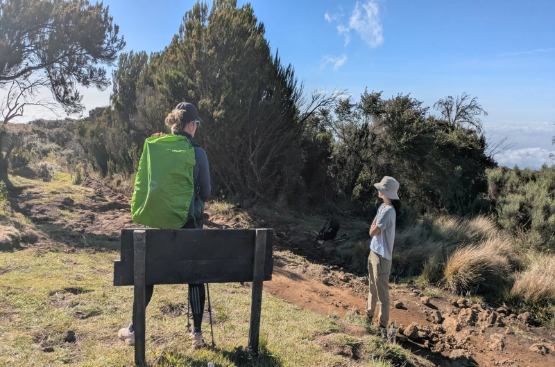 6 Days Marangu Route Kilimanjaro Climb In October 2026/2027