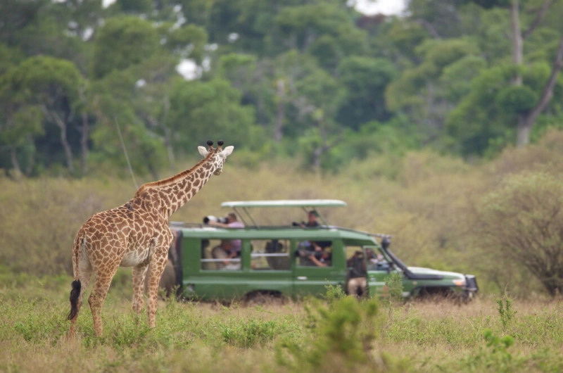 7 Days Kilimanjaro Marangu Route And Tarangire Safari