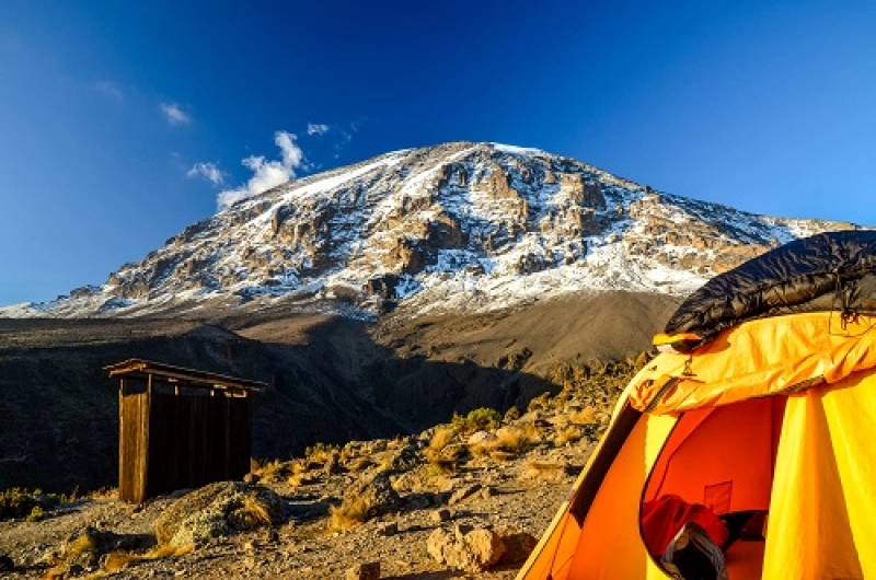 7 days Lemosho Route Affordable Kilimanjaro Climbing Tour