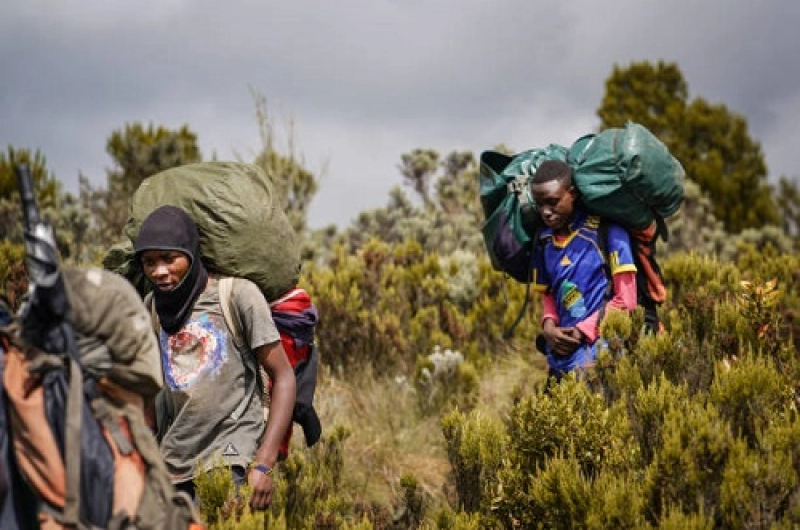 7 days Machame Route Affordable Kilimanjaro Climbing Tour