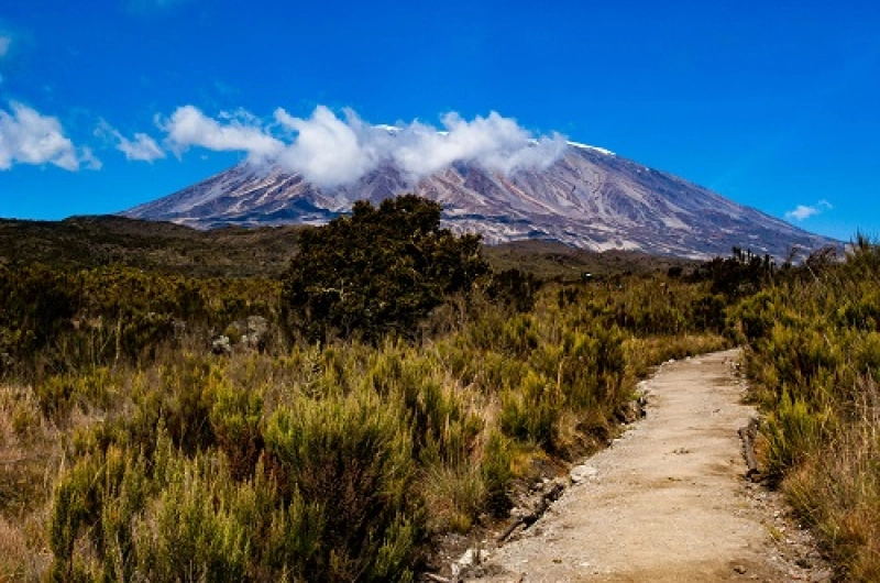7 Days Machame Route Kilimanjaro Climbing in August
