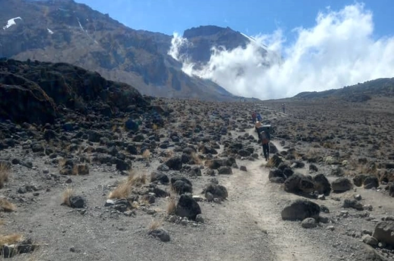 7 Days Machame Route Kilimanjaro Climb in January 2027/2028