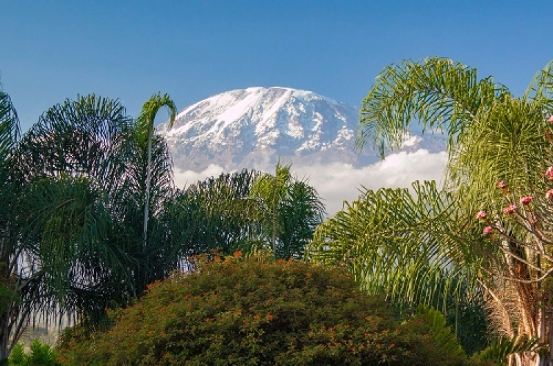 7 Days Machame Route Kilimanjaro Climbing in June 2027/2028