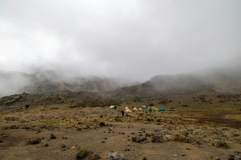 8 days Lemosho Route Affordable Kilimanjaro Climbing Tour