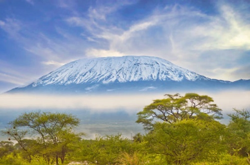 8 days Lemosho Route Budget Kilimanjaro Climbing Tour
