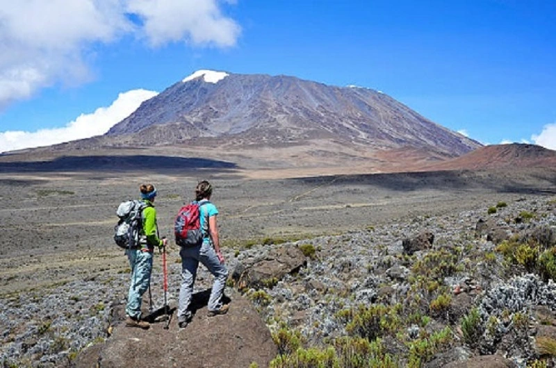Affordable Kilimanjaro Climbing Tours at Best Budget Price