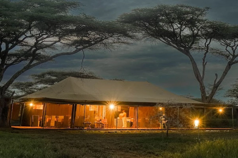 Ang’ata Migration Bologonja Camp in Northern Serengeti