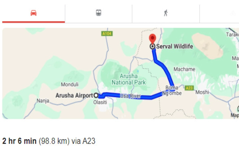 Arusha Airport to Serval Wildlife Transfer