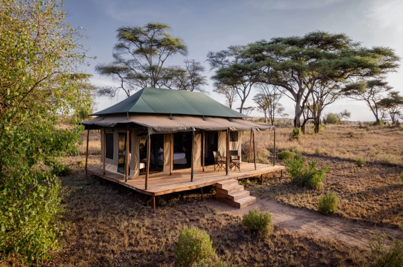 Baobab Mara Luxury Camp Northern Serengeti: Stunning Escape