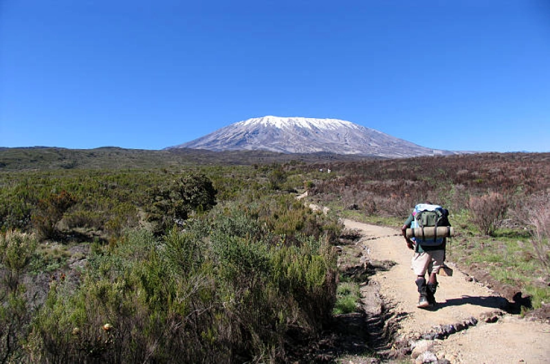 Cheap 6 Days Machame Route Kilimanjaro Climb