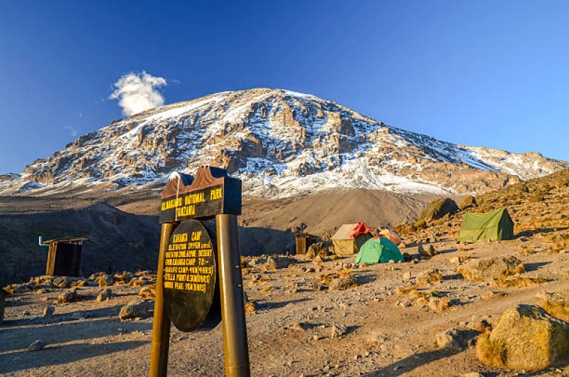Cheap 7 Days Machame Route Kilimanjaro Climb