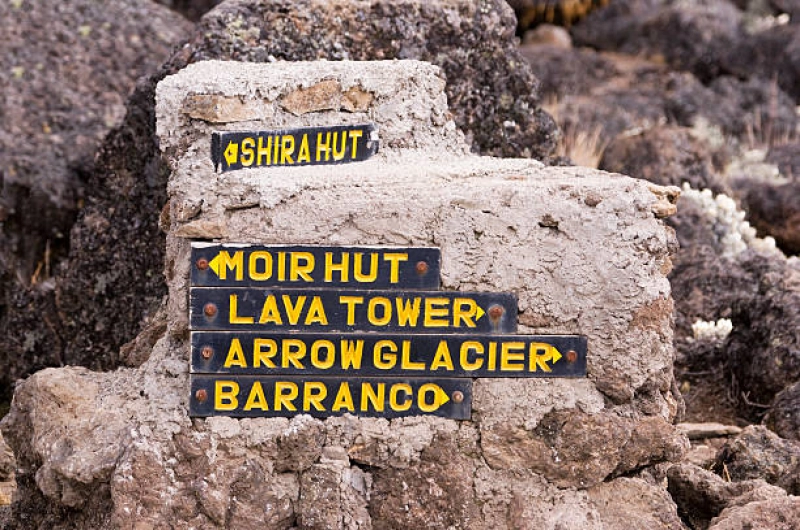 Cheap 8 Days Lemosho Route Kilimanjaro Climb