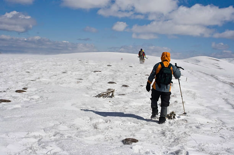 Cheapest 5 Days Kilimanjaro Trekking Packages