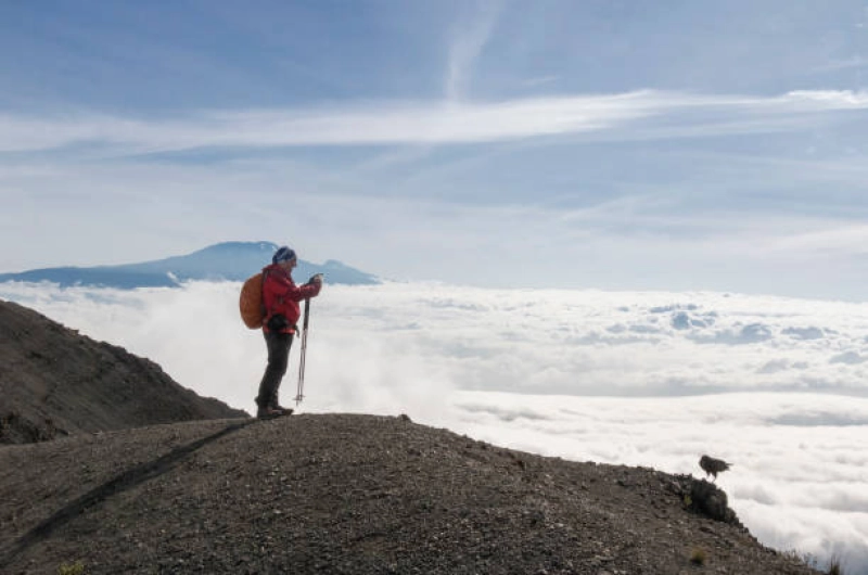 Climbing Kilimanjaro On A Budget 8 Days Lemosho Route