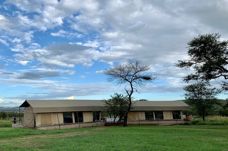 Dunia Camp—A Hidden Gem in the Central Serengeti