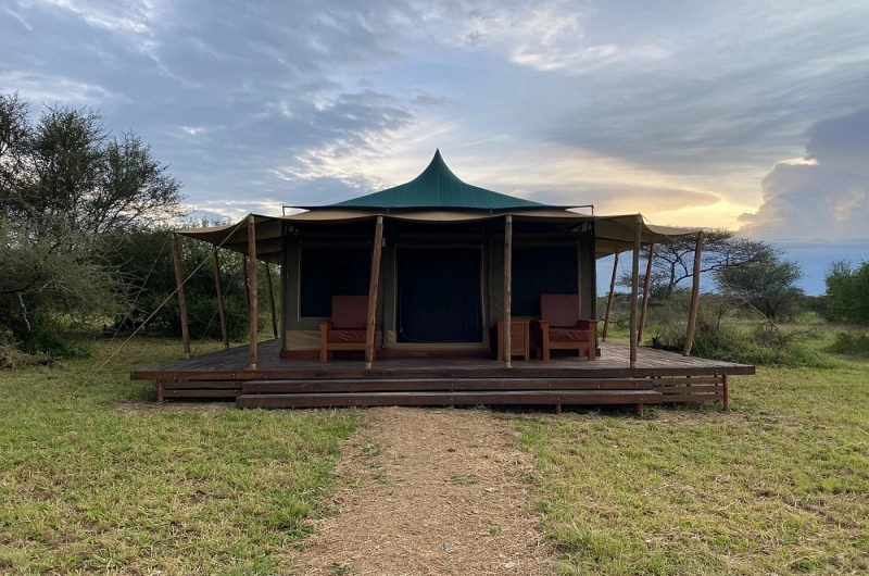 Into Wild Africa Tented Camp in Central Serengeti