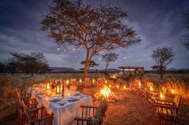 Nimali Central Serengeti: An Exclusive Wilderness Escape
