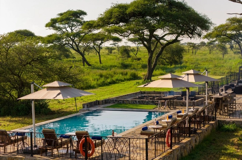 Serengeti Sametu Camp: Where Luxury Meets the Wild