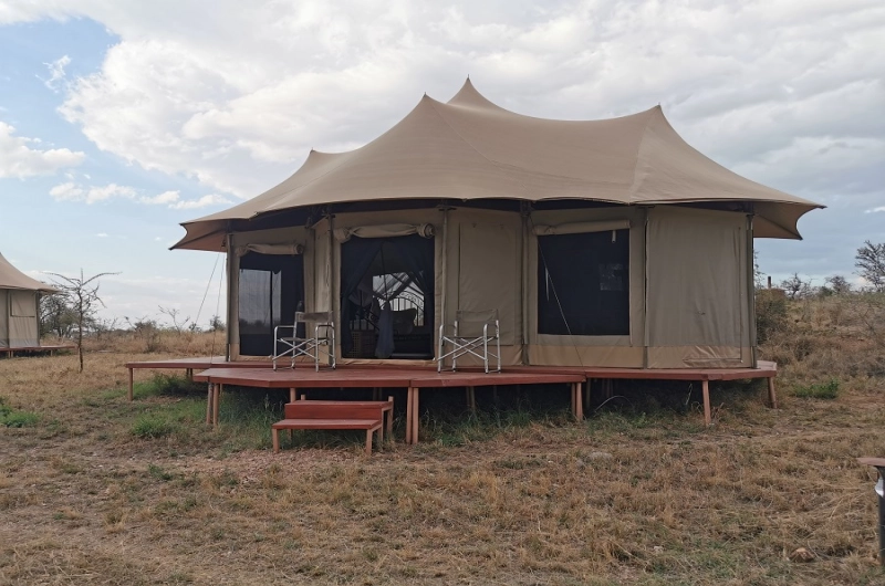 Serengeti Wildebeest Camps: An Authentic Safari Experience
