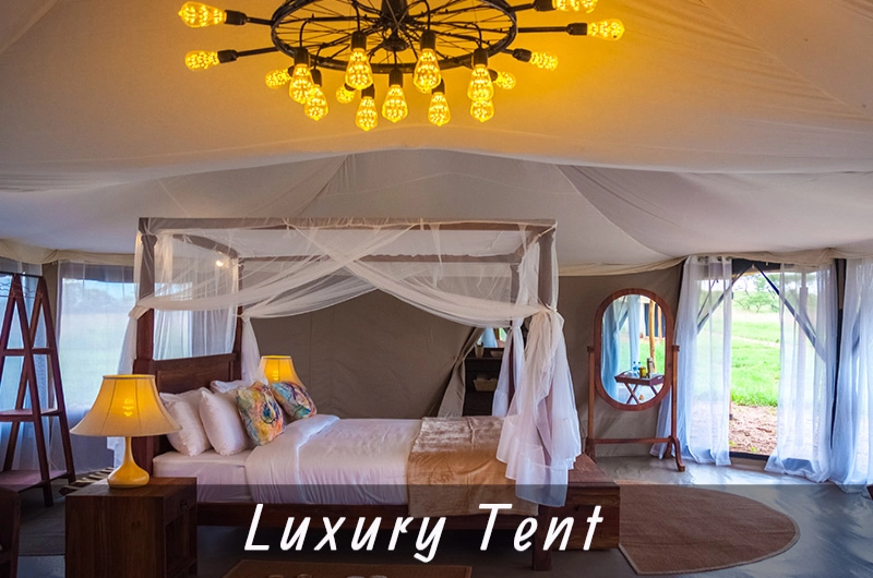 Sueños de África Luxury Camp Serengeti Escape Like No Other